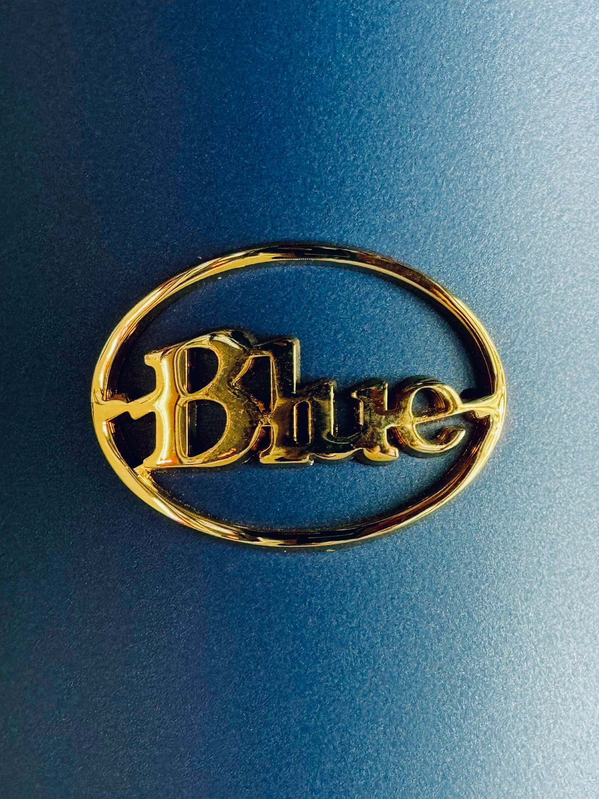 Blue Microphones logo on Blue Bottle microphone – professional audio gear