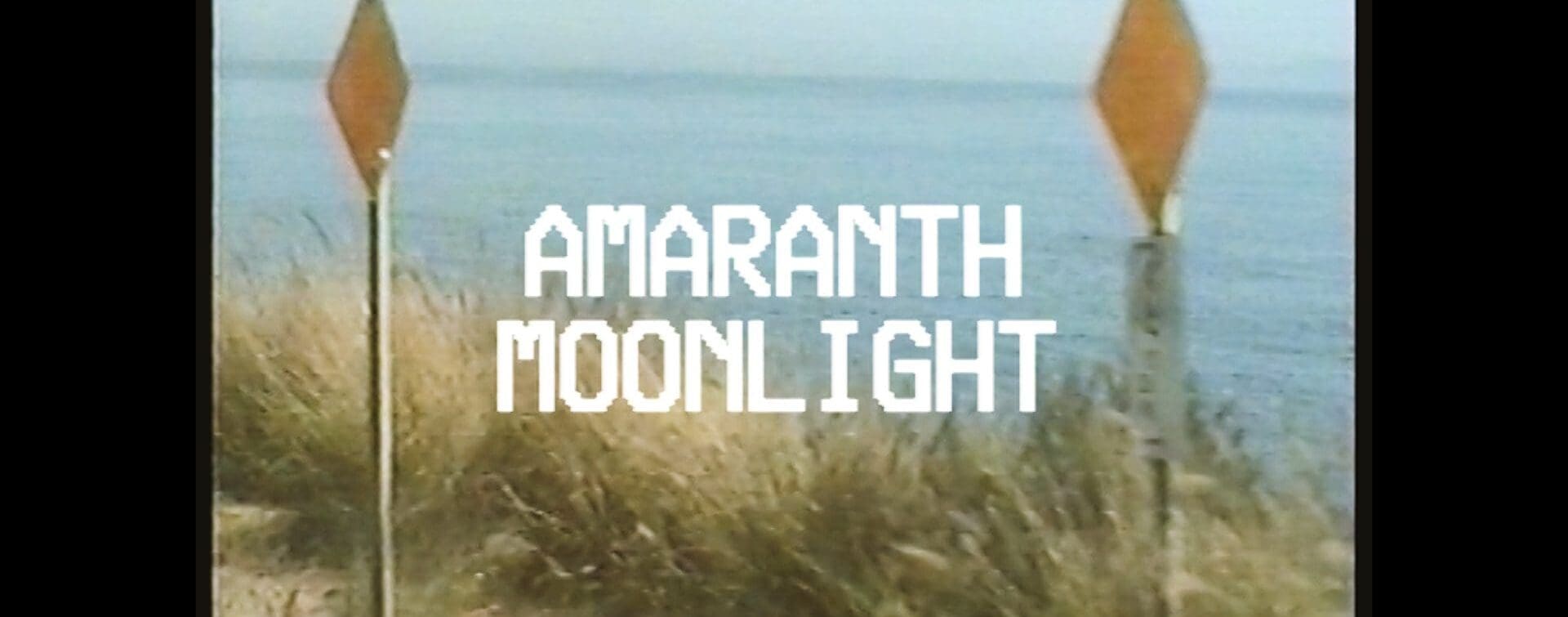 Old Sea Brigade & Luke Sital-Singh - Amaranth Moonlight