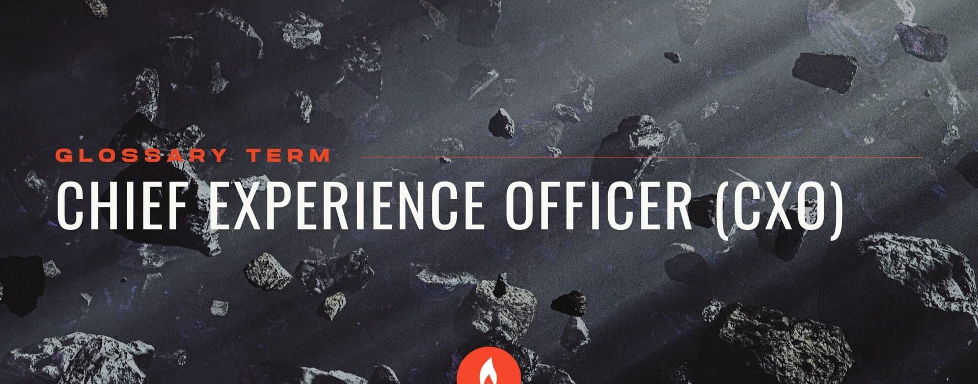 RIOT Creative Agency - Glossary - Chief Experience Officer (CXO)