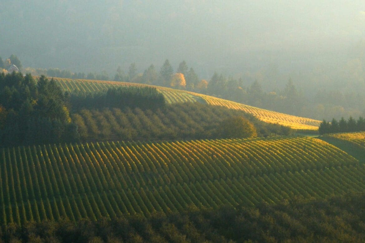 Call Me When You Land - Directors Treatment