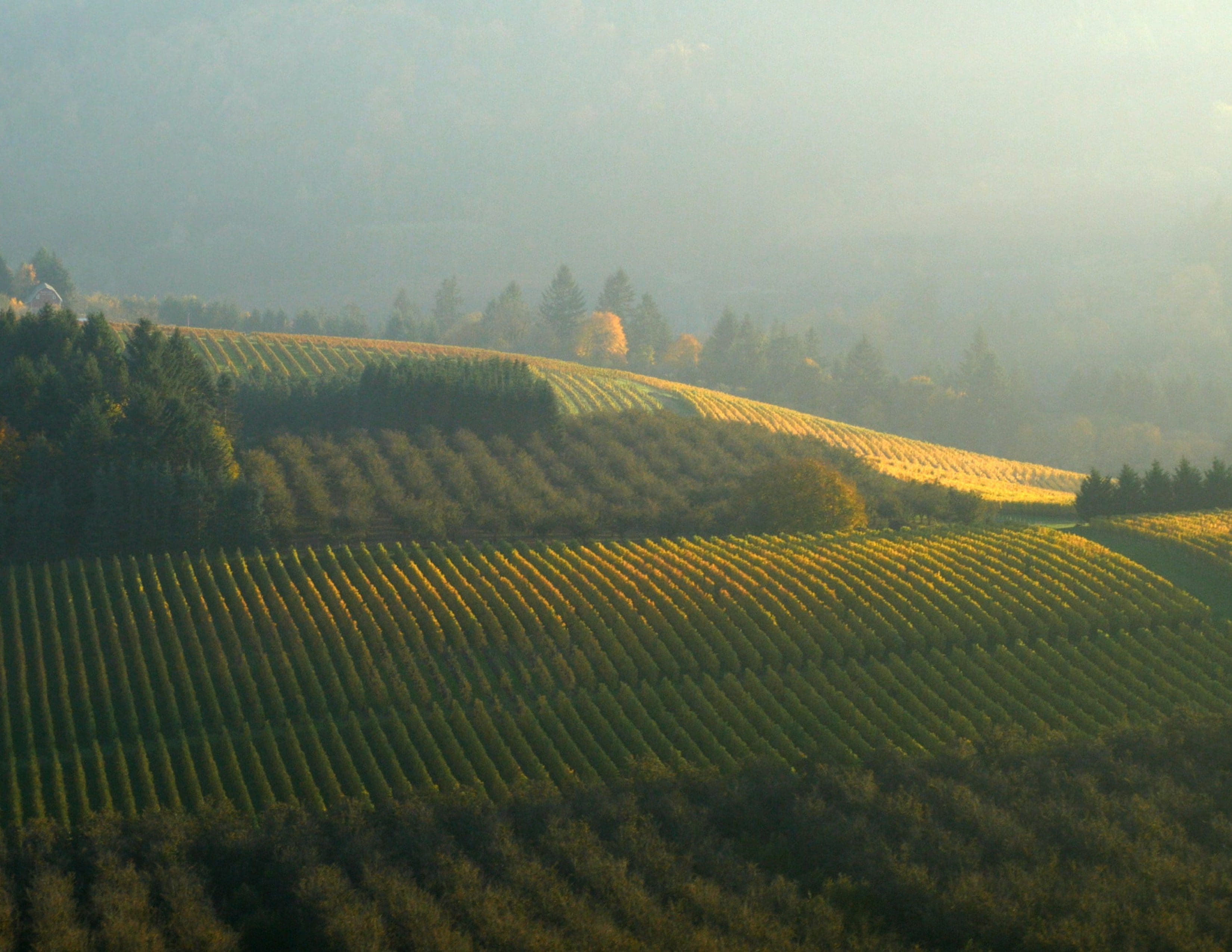 RIOT, NYC Creative Agency: Call Me When You Land Directors Treatment Call Me When You Land Directors Treatment