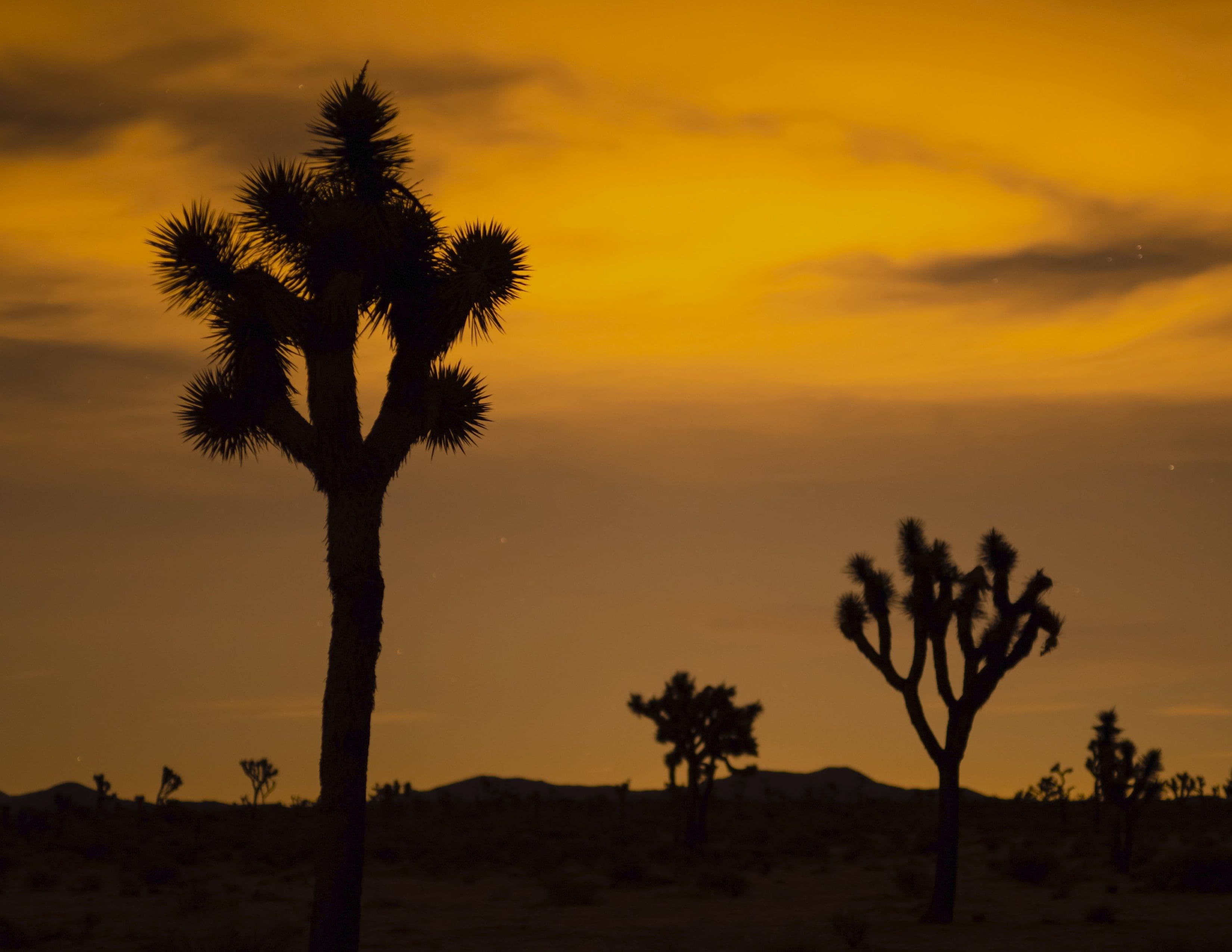 RIOT, NYC Creative Agency: Call Me When You Land Directors Treatment Call Me When You Land Directors Treatment