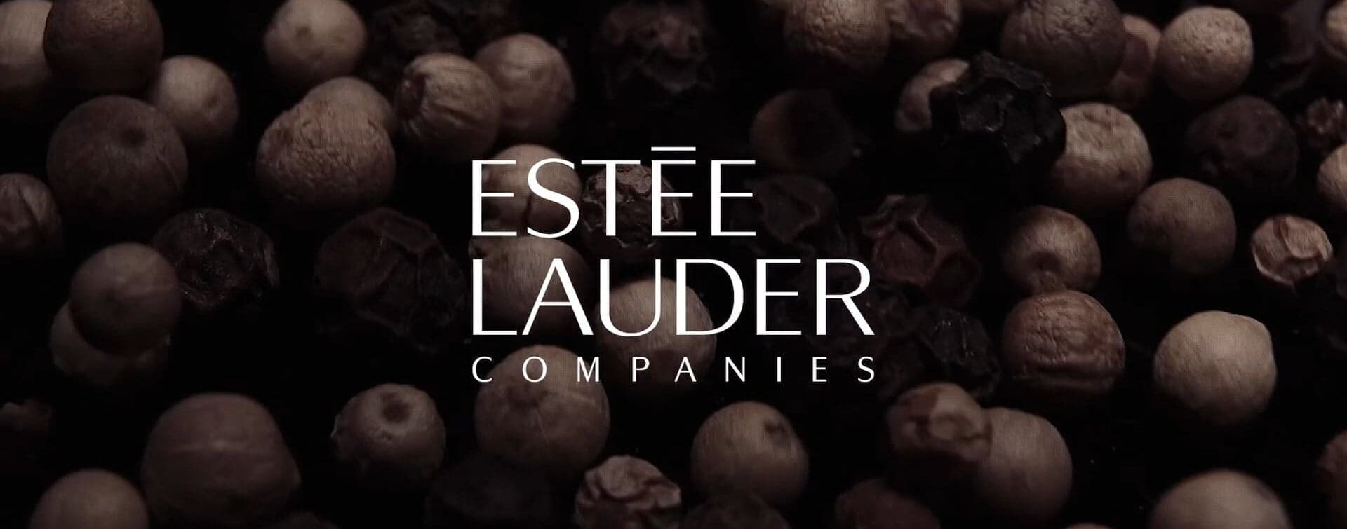 Estée Lauder Companies: The Global House of Prestige Beauty