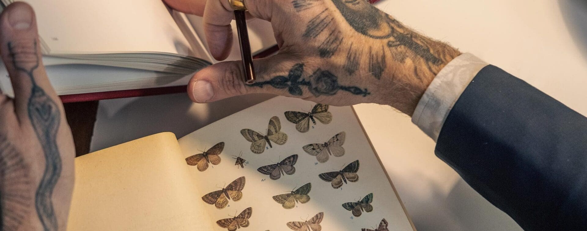 Close-up of Christopher Young’s tattooed hands flipping through a reference book of butterflies