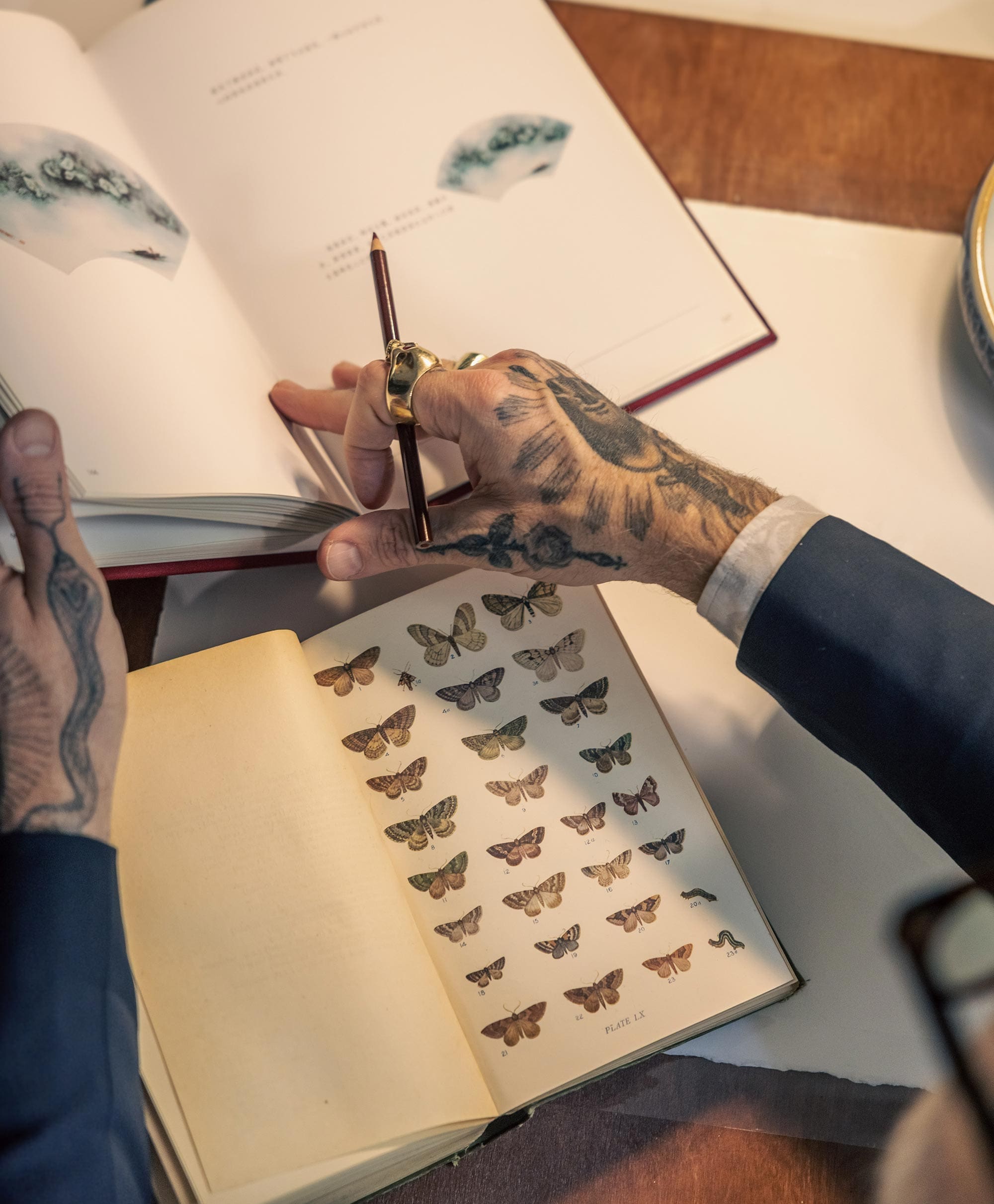 Close-up of Christopher Young’s tattooed hands flipping through a reference book of butterflies