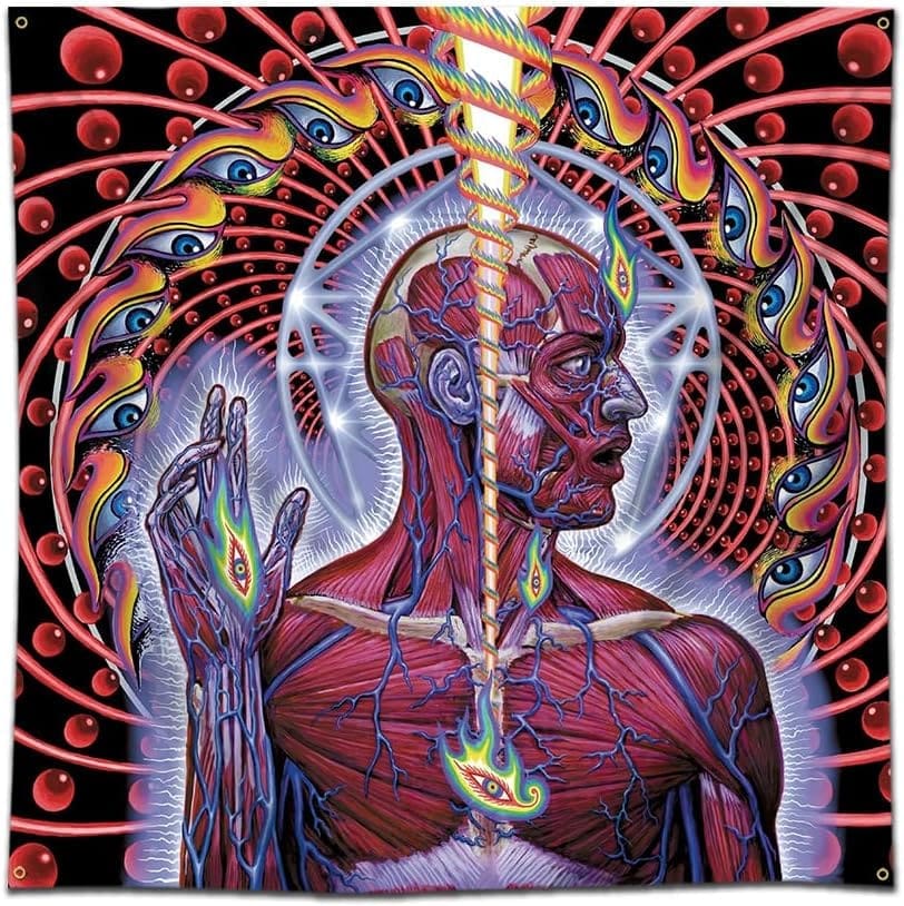 RIOT, NYC Creative Agency: Alex Gray’s iconic artwork for Tool’s Lateralus album, featuring anatomical layers and psychedelic geometry. Alex Gray’s iconic artwork for Tool’s Lateralus album, featuring anatomical layers and psychedelic geometry.