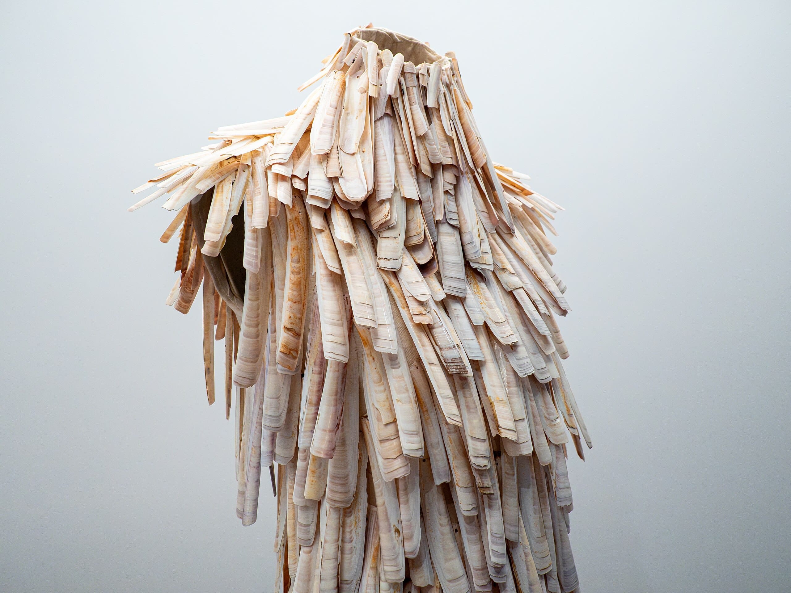 RIOT, NYC Creative Agency: Clamshell dress by Alexander McQueen, displayed at the MET’s Sleeping Beauties exhibition, part of the Voss collection, featuring razor clamshells. Clamshell dress by Alexander McQueen, displayed at the MET’s Sleeping Beauties exhibition, part of the Voss collection, featuring razor clamshells.