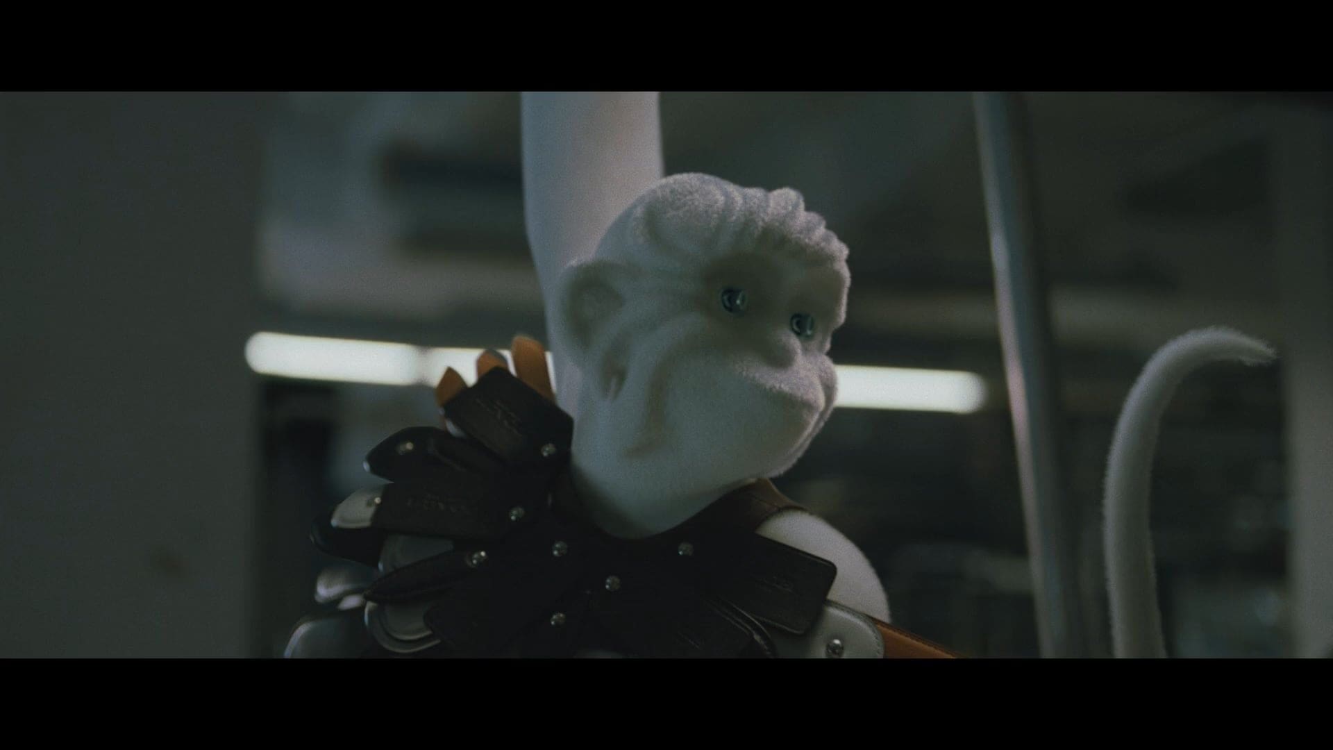 Coach | Chinese Year of the Monkey Lunar Film