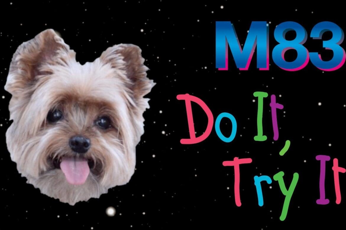 RIOT - M83 - Do It, Try It