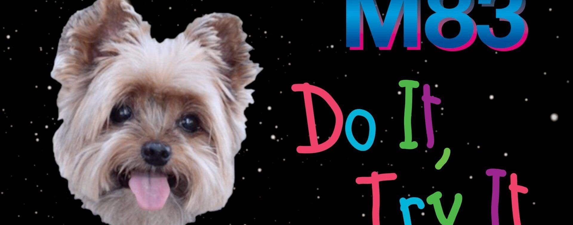 RIOT - M83 - Do It, Try It