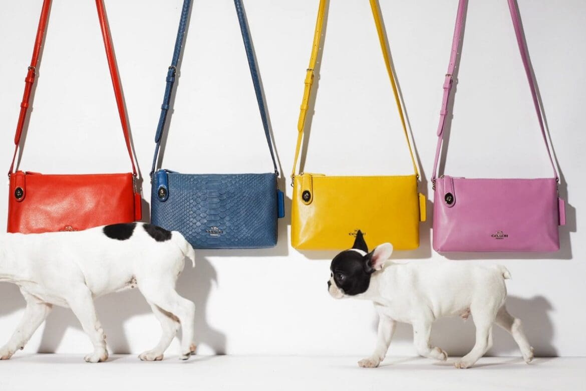 Coach: Holiday 2015 Campaign