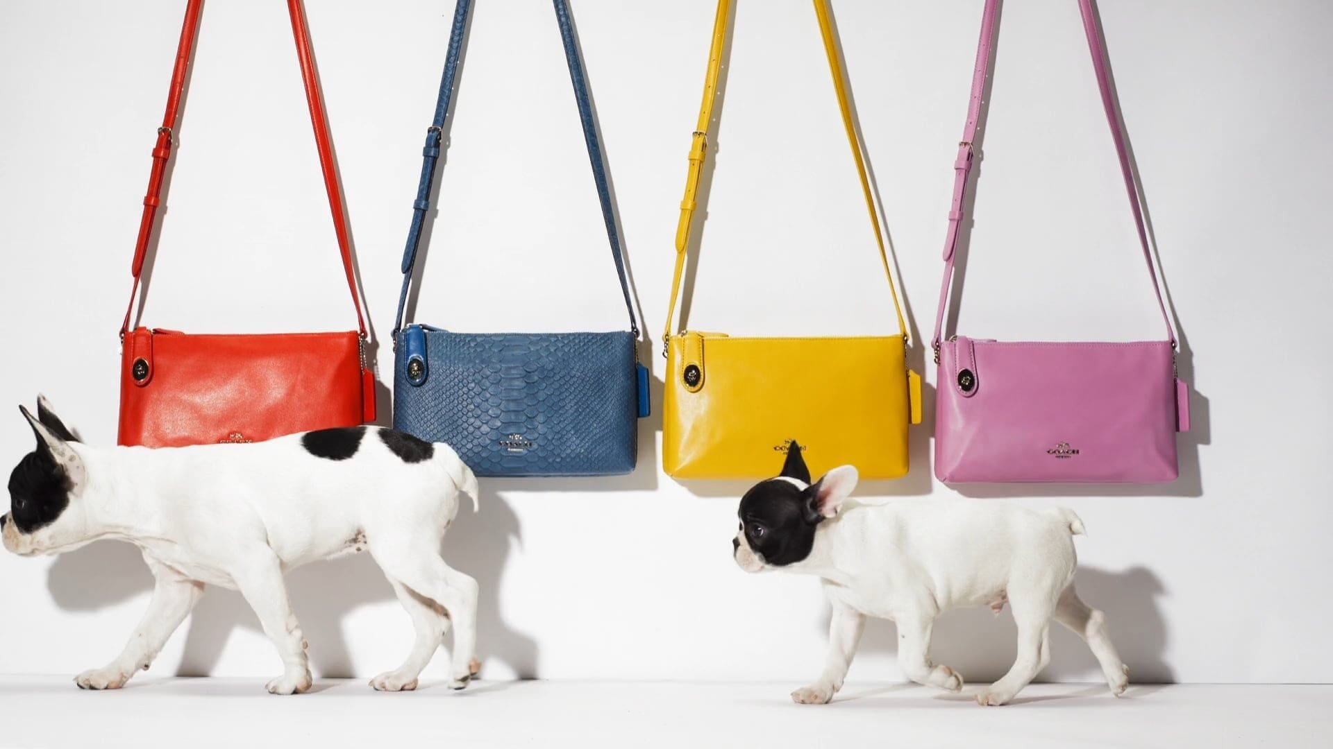 Coach: Holiday 2015 Campaign
