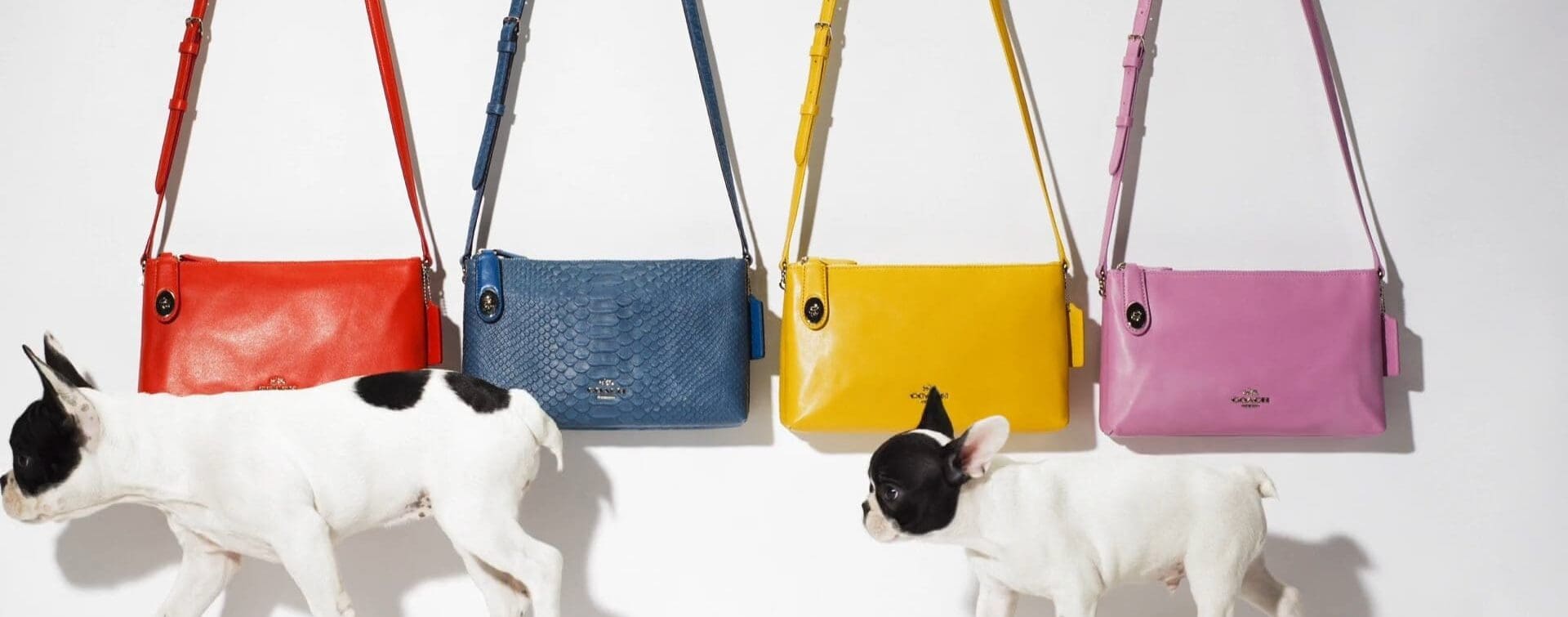 Coach: Holiday 2015 Campaign