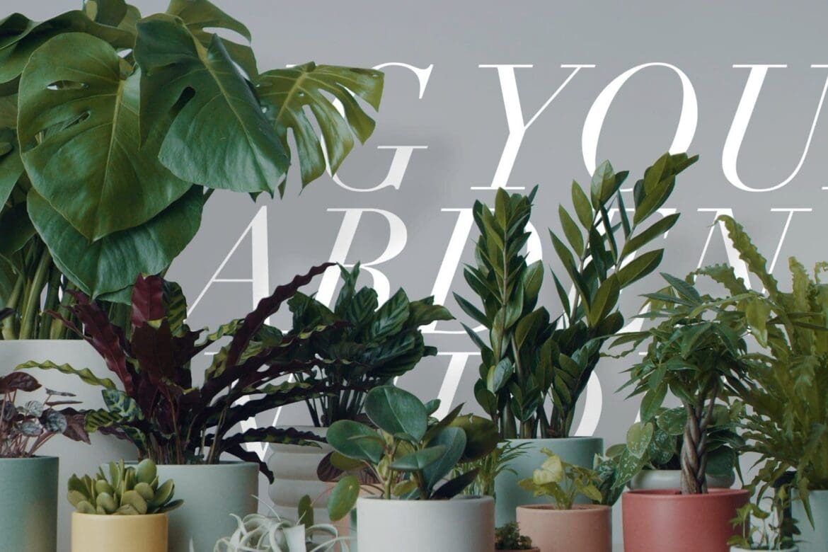 Reside Moments: Bring Your Garden Inside