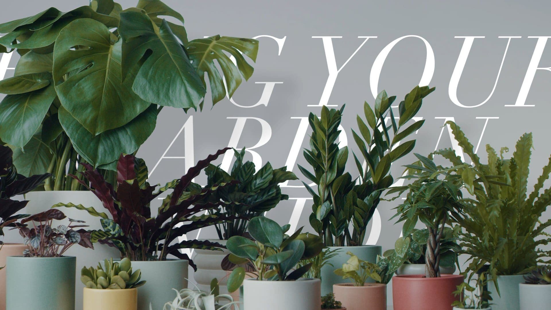 Reside Moments: Bring Your Garden Inside