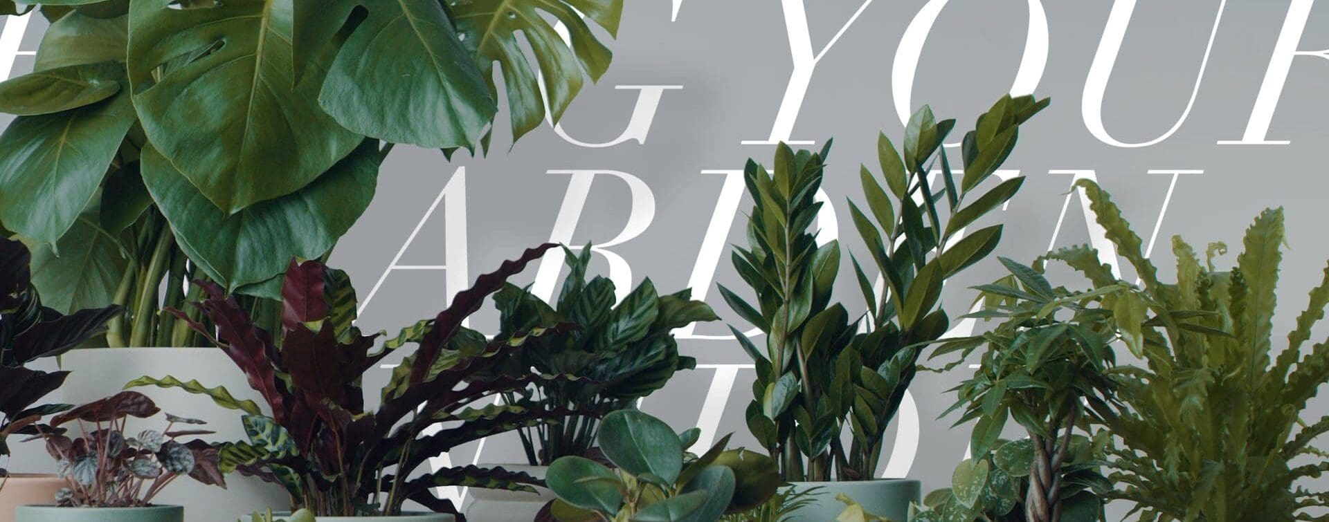 Reside Moments: Bring Your Garden Inside