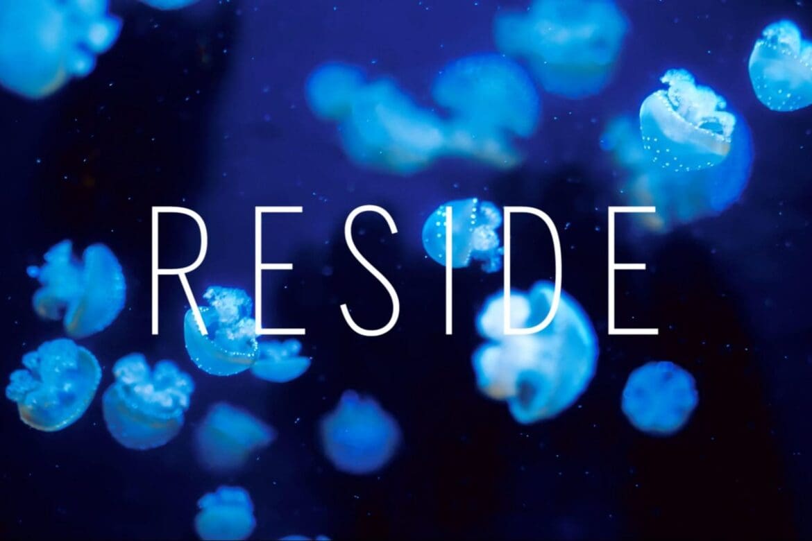 Reside: Moments - Diving In