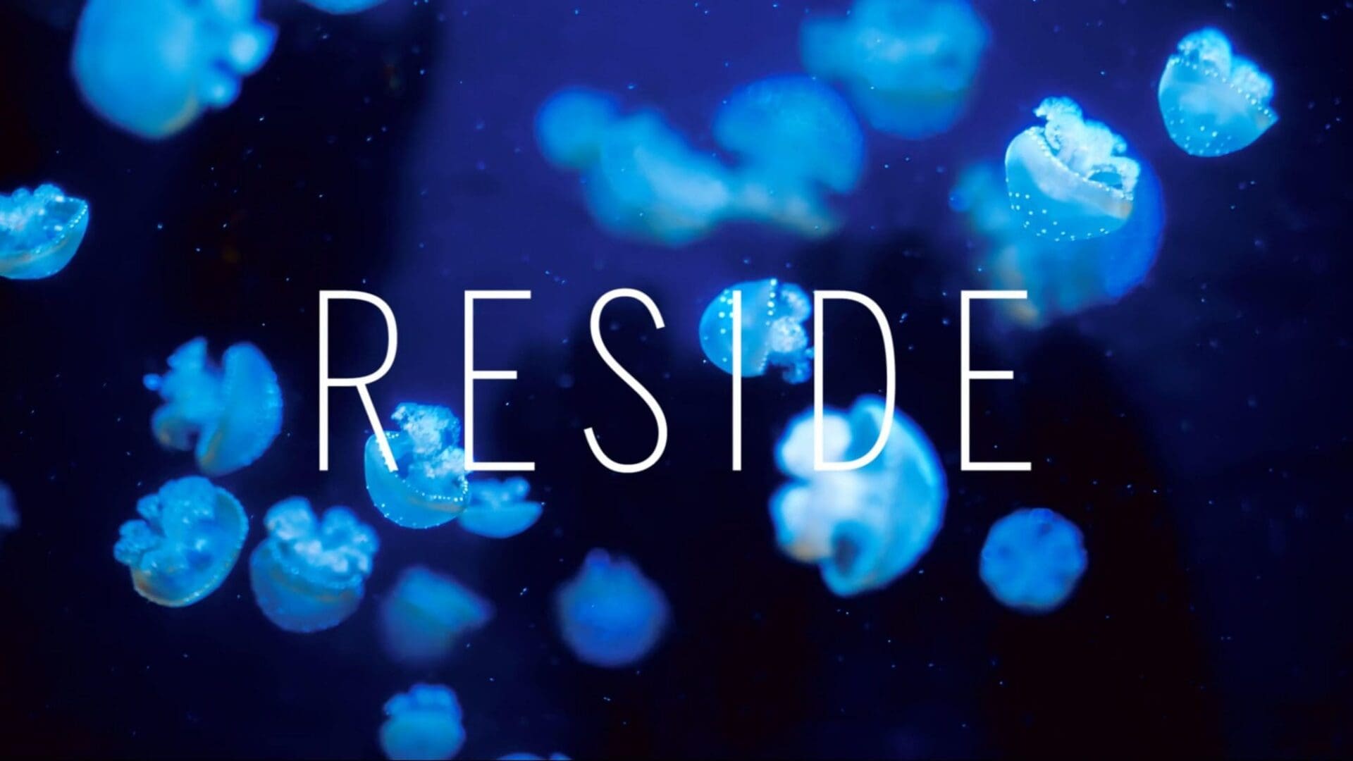 Reside: Moments - Diving In