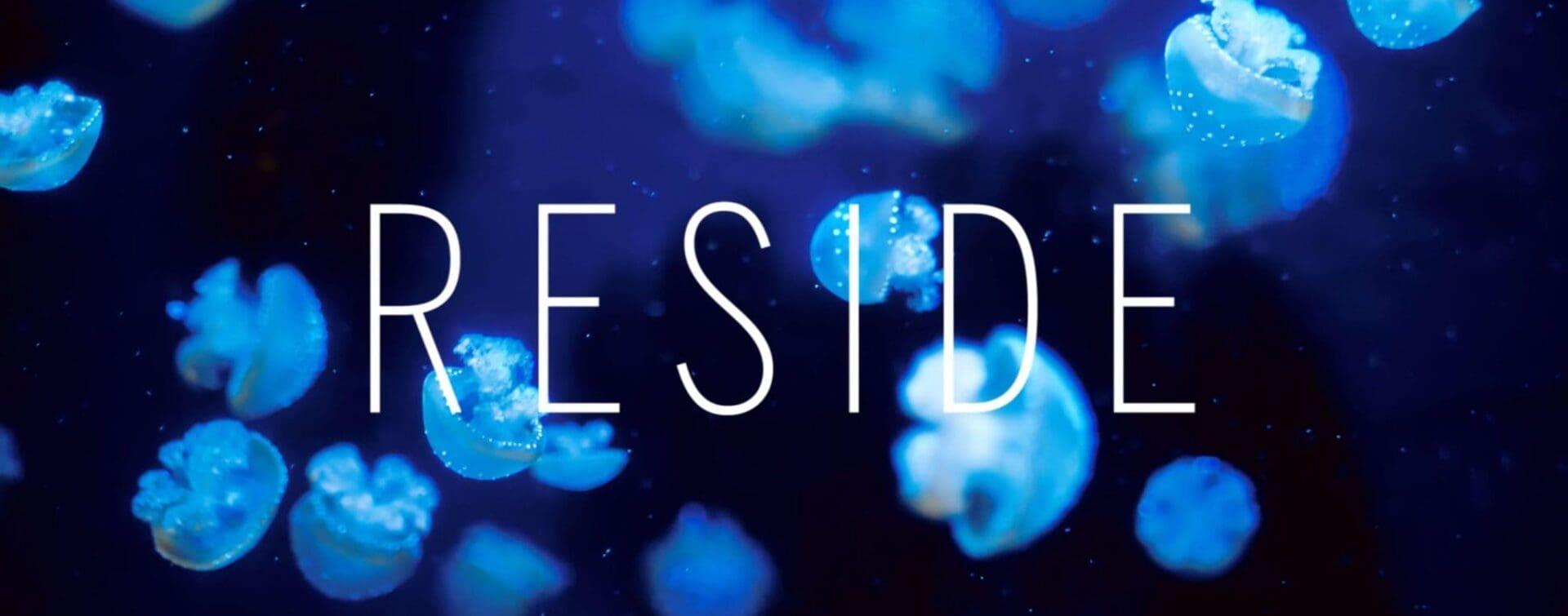 Reside: Moments – Diving In Reside: Moments - Diving In