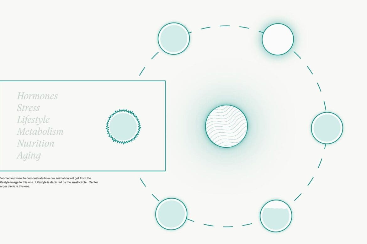 Zoomed-out storyboard for Nutrafol x RIOT showcasing animation of factors like hormones, metabolism, and aging, with interconnected circular elements.